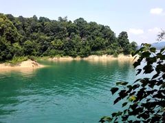 -广州市流溪河国家森林公园