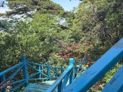 -大芦花风景区