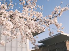 -龙美术馆(西岸馆)