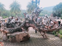 -清迈夜间动物园