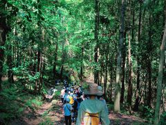 -素山寺森林公园