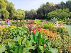 -国家植物园南园