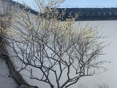 -南京市民俗博物馆(甘熙故居)