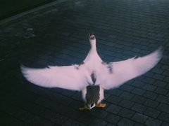 -柯达真美(老重庆中路店)