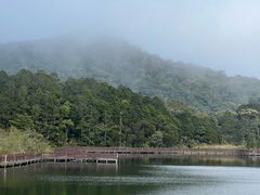 -海南热带雨林国家公园吊罗山景区