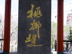 -桃花堤公园