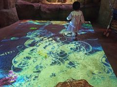 -沈阳海洋探索中心