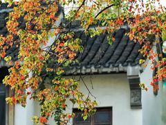 -老门东历史文化街区