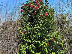 -南京金牛湖风景区