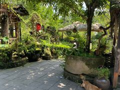 -青城甲(青城山店)