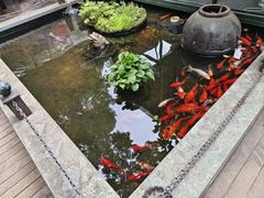 -野蔓果·山野菜(西湖景区·龙井茶田店)