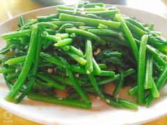 蒜蓉炒瓜远-菠菜美食