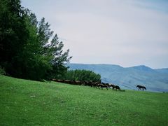 -新疆那拉提国家旅游度假区
