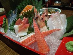 综合刺身拼盘-二丁目食堂(铁西万象汇店)