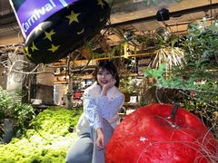 -三秋舍·梦幻岛(小西路店)