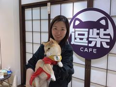 -逗柴咖啡屋·狗咖猫咖宠物桌游