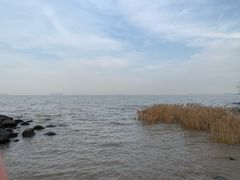 -上海吴淞炮台湾国家湿地公园