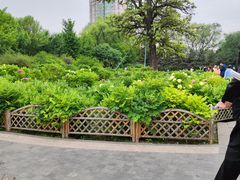 -迎泽公园