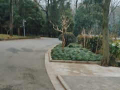 -灵谷景区