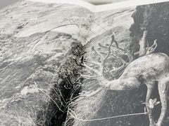 -二酉书店TOYOU BOOKS