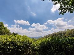 -火炉山森林公园