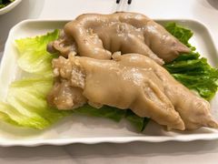 -丁老爷子苏香圆