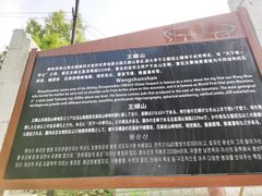 -王顺山国家森林公园