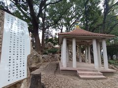 -叶家花园