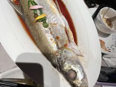 -醉庐·新上海菜(南京西路店)