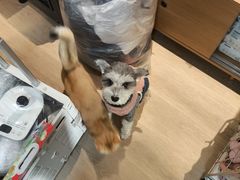 -联合动物医院(光谷诊疗中心)
