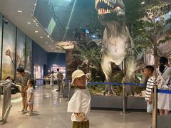 -湖南省地质博物馆