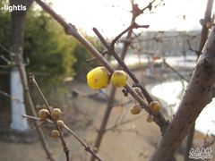 -白塘生态植物园