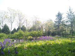 -石家庄市植物园