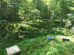 -童程童美·信息学竞赛·机器人编程·少儿编程(大钟寺校区)