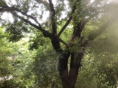 -上海市保健医疗中心