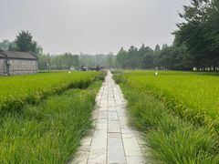 -北坞公园