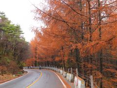 -秦岭风景区