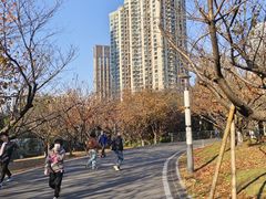 -苏州河梦清园环保主题公园