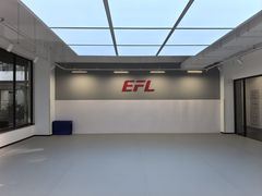 -EFL巴西柔术·综合格斗·泰拳·少儿体能训练(虹桥德必馆)