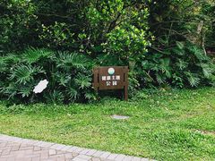 -金山植物公园