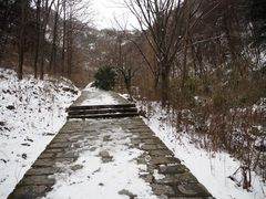 -秦岭终南山世界地质公园翠华山景区