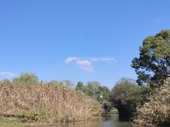 -沙家浜风景区