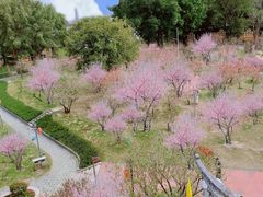 -东山湖温泉度假村