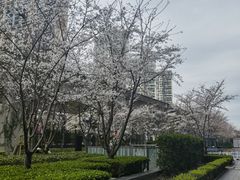 -星巴克(嘉定中信泰富万达广场店)