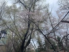 -迎泽公园
