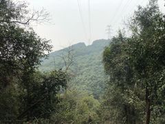-西湖风景区十里琅珰-五云山