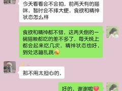 -创凡宠物医院·骨专科  猫科中心(西乡分院)