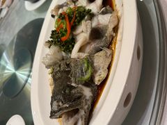 -绿岛国际酒店·海鲜酒楼(八七路店)