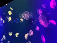 -成都浩海立方海洋公园