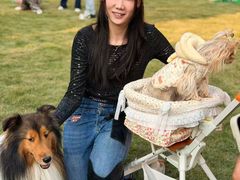 -上海神旺大酒店